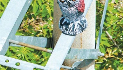 武汉:50多只“猫头鹰”在电塔上“站岗” 提醒鸟儿别靠近