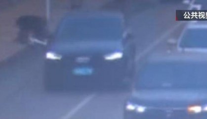 骑自行车碰瓷!北京一六旬男子骗取25人共4.6万余元,法院判了