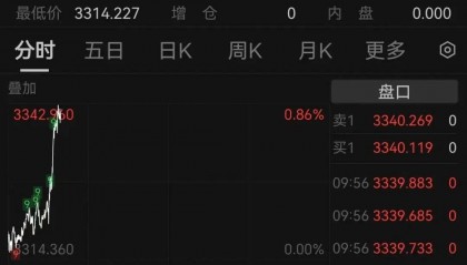 黄金创新高!突破3340美元