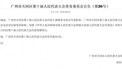 广州市天河区人大代表王莉因涉嫌违法被责令辞去代表职务