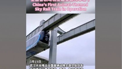 外交部转发!武汉空轨上有羊驼