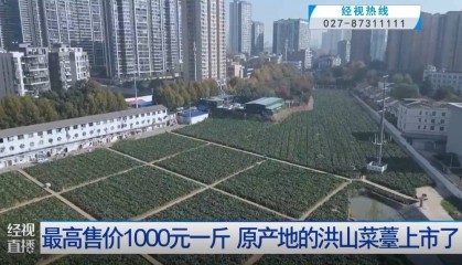 武汉人爱吃!最高1000元一斤,供不应求