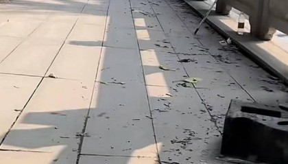 江苏钓友发现铁路桥下路面沉降 铁路部门:已查看,对铁路桥无影响