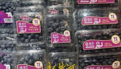 每斤40元至80元,济南市场上,这一水果价格下跌