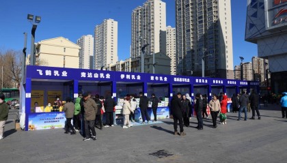 2025年龙江服务消费季暨乳制品展销节盛大启幕