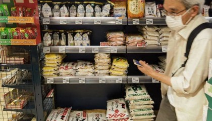 日本米价连创新高,日本人赴韩国“淘米”