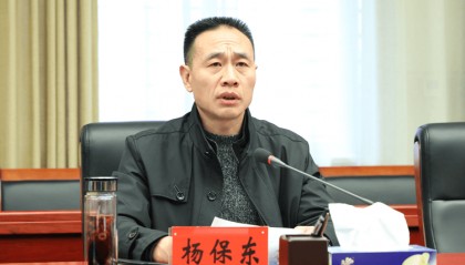 杨保东,主动投案