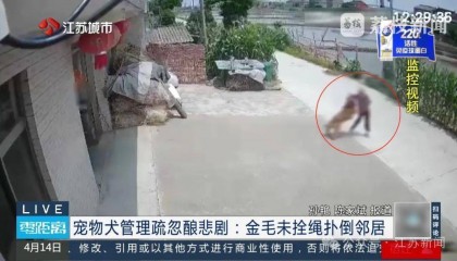 八旬老人被金毛扑倒致死,邻居不愿赔10万,法院:赔40万!