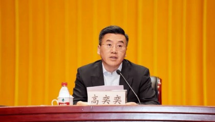 上海市委全会追认:开除高奕奕党籍