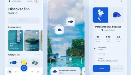选择项目的区块链协议
