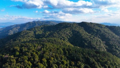 云南哀牢山新规出台:禁止任何单位和个人擅入哀牢山自然保护区,从事科研活动须报批