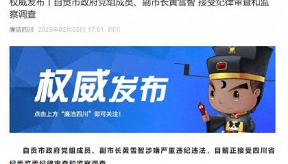 涉嫌严重违纪违法,四川省自贡市政府党组成员、副市长黄雪智接受审查调查