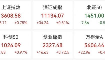 重回3600点!牛市“旗手”,涨停!