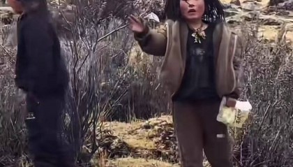重庆男子在理塘旅游送当地小孩零食,反被赠三只藏獒,“他们把我当做很好的客人”