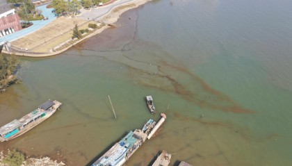 海边密集出现“爆爆珠”?广州、深圳等多地发布提醒