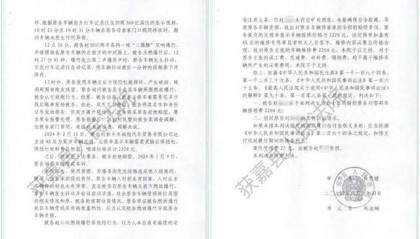 新乡一法院上门执行将被执行人母亲“抬走”,3根肋骨骨折,谁担责?