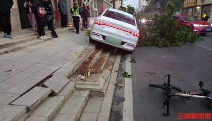 后座孩子喊爸爸,司机回头瞬间撞树撞人