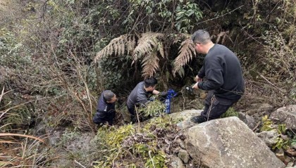 海拔900多米,嫌疑人竟连夜爬七八个小时山潜逃!蓝某已被依法采取刑事强制措施