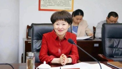 刘岚,在处长、副市长等任上敛财数额特别巨大