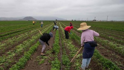“70%的工人都走了,美国人又不愿意干,我们快破产了”