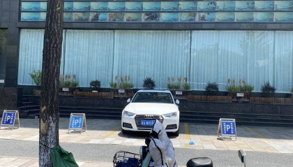 高温暴击下的杭州,行道树为何围上“绿肚兜”?