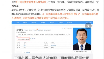 三河“禁用红黑蓝”事件始末:官方正式回应“警徽改色”