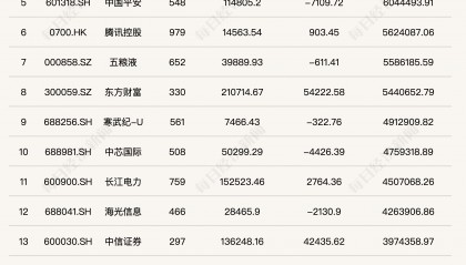 公募基金2024年四季度重仓股全扫描:宁德时代跃居第一大重仓股,寒武纪-U、中芯国际等半导体行业个股被减持