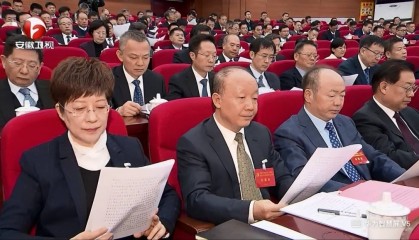 卸任黄山市委书记后,凌云参加了安徽省委十一届九次全会