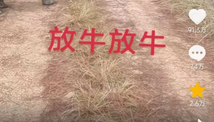 云南一男子“在线养犀牛”走红:喂牛还要“遛牛” 不对外开放