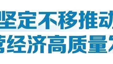 小到几毫米、大到6.5米的轴承,山东一企业让工业“关节”更灵活耐用