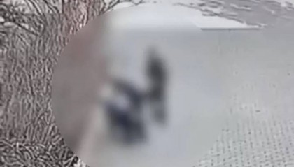 多地网友给打小学生的副所长邮寄锦旗?相关店铺回应:确实比较多