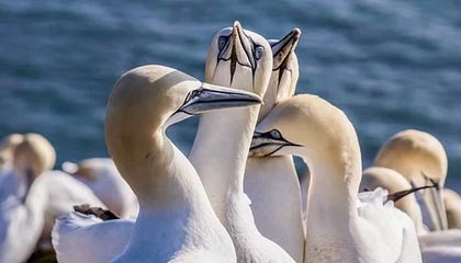 科大讯飞申请区块链数据管理专利,能够提高区块链数据管理效率、系统性能以及用户体验