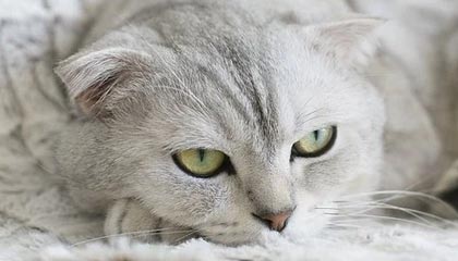 2030年,湖南建成20年及以上的老旧小区将实现“愿改尽改”