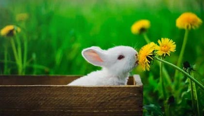 女子穿吊带裙散步被“街拍”,两年后发现照片被配文:只要自己不尴尬,尴尬的就是别人,法院:三被告侵犯肖像权、名誉权