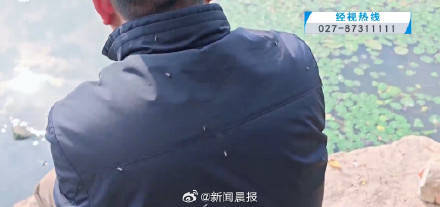密密麻麻!多得像“马赛克" 武汉一湖边漫天飞虫