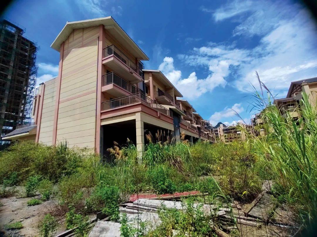 县委书记和女下属的“生意经”