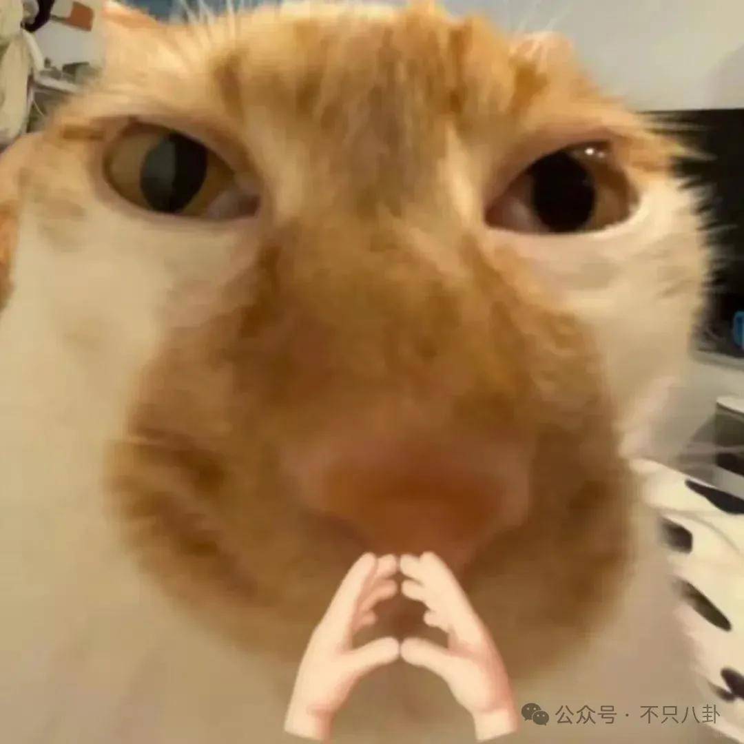 让46岁的老婆给他生二胎?这姐别是又跳进一个火坑了吧……