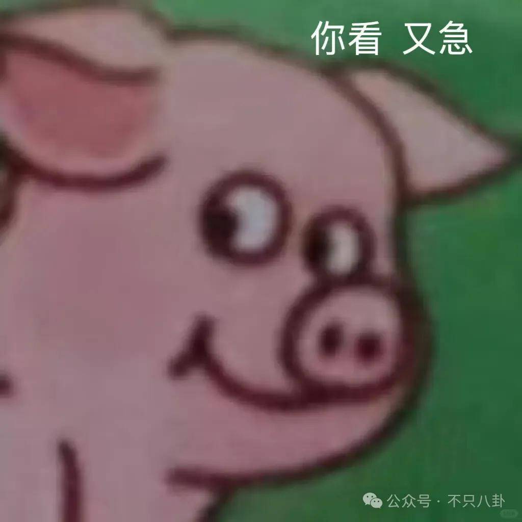 让46岁的老婆给他生二胎?这姐别是又跳进一个火坑了吧……