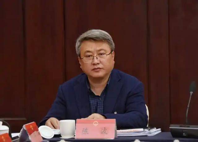 受贿数额特别巨大、滥用职权致国家利益遭重大损失,陈波被公诉