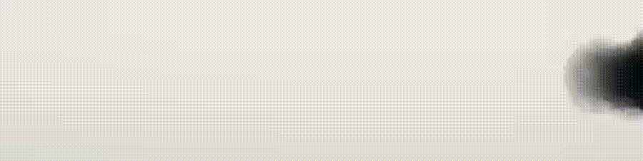 “等价交换”再现!ASML对华出口一台光刻机利润相当于20万吨猪肉