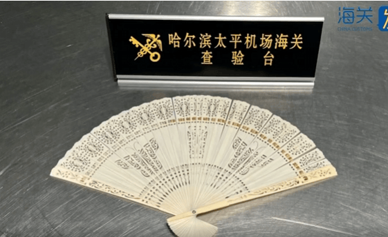 一旅客因一把“漂亮折扇”在哈尔滨机场被查!经鉴定:非洲象象牙制品,净重61.7克