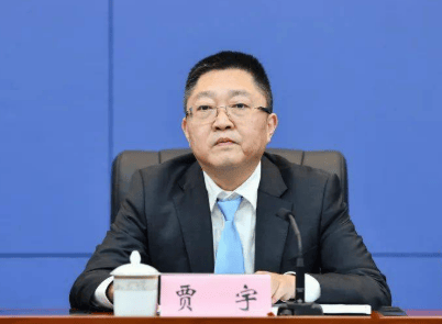 厅官贾宇,官宣落马