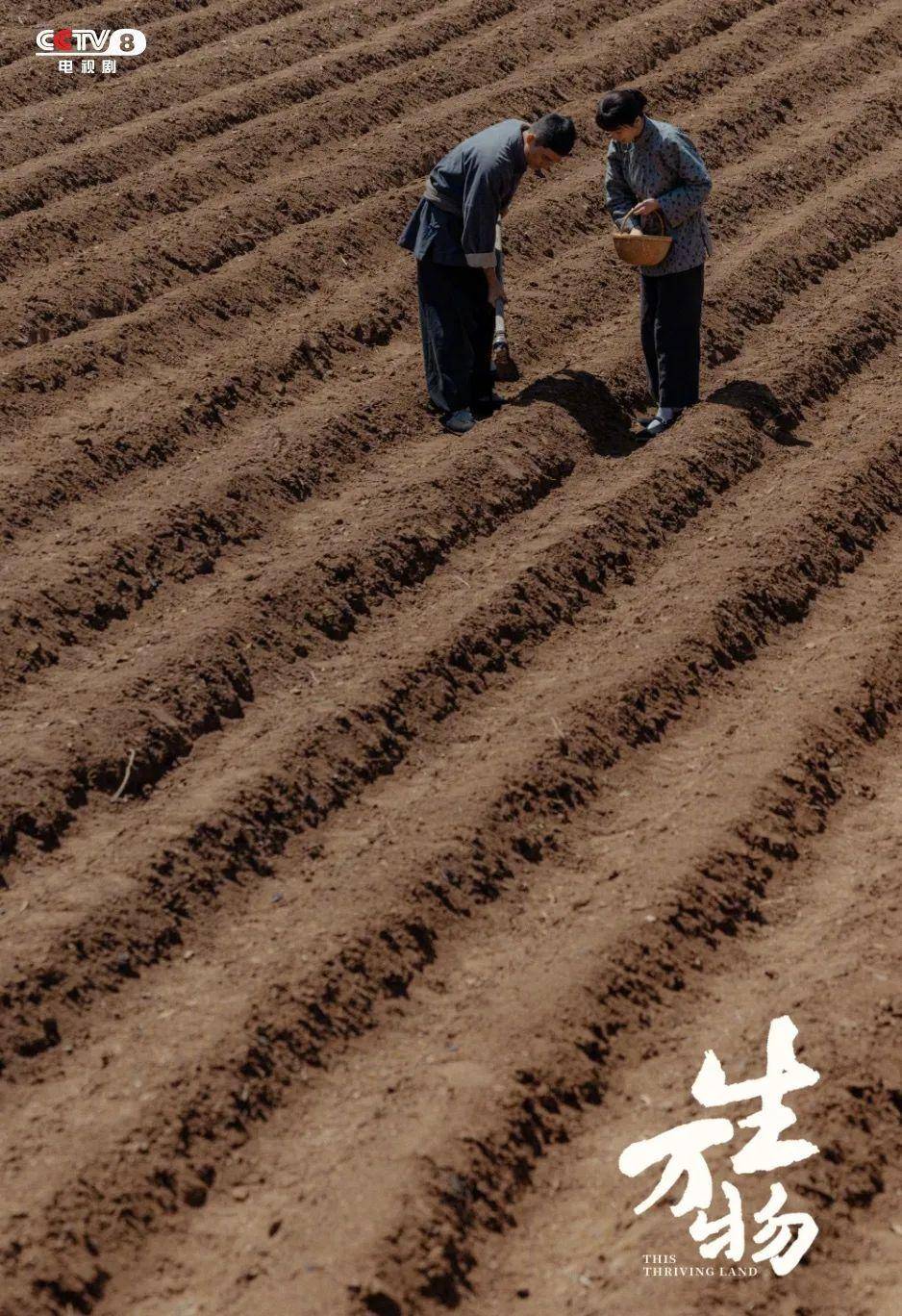 《生万物》收官,欧豪演绎庄稼汉的“务实浪漫”