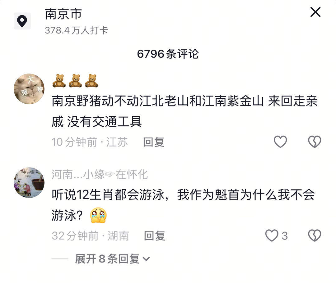 南京六头野猪组队渡长江,网友:天蓬元帅天上管水军的