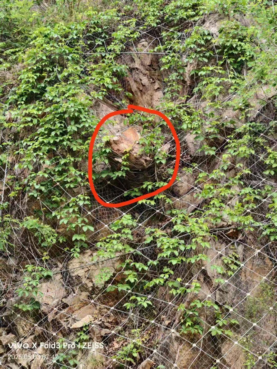 河南山体落石致36岁男子死亡案将一审开庭,家属起诉多部门索赔146万余元