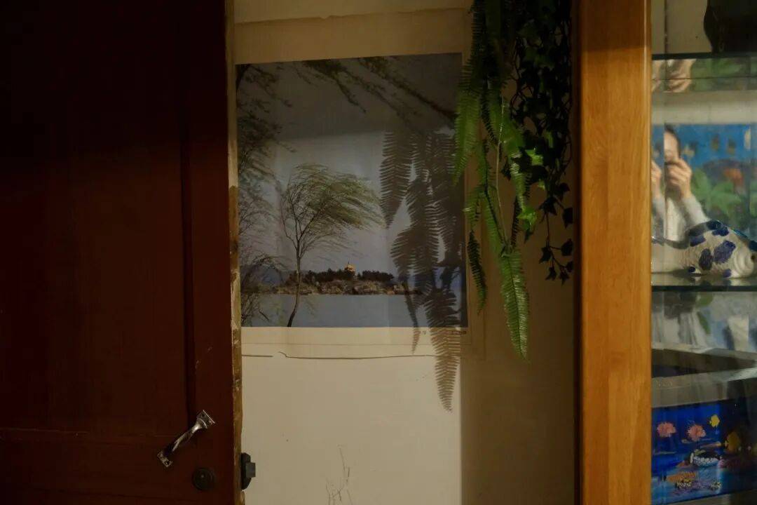 突然爆火！“00后”姑娘靠杭州居民房月入过万！每月来五六波……