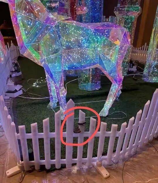 九寨沟一酒店大堂出现蝮蛇,小孩还摸了蛇头!当地通报:孩子没被咬伤,已全面排查