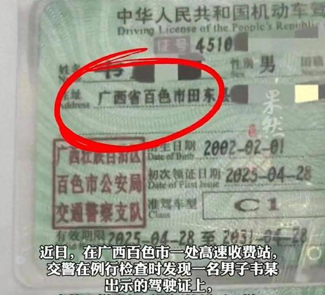 吃了没文化的亏!男子买假驾照写“广西省”没发现不对:家人都以为是真的