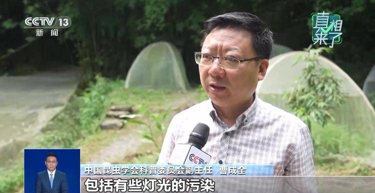 网传萤火虫濒临灭绝,是真的吗?