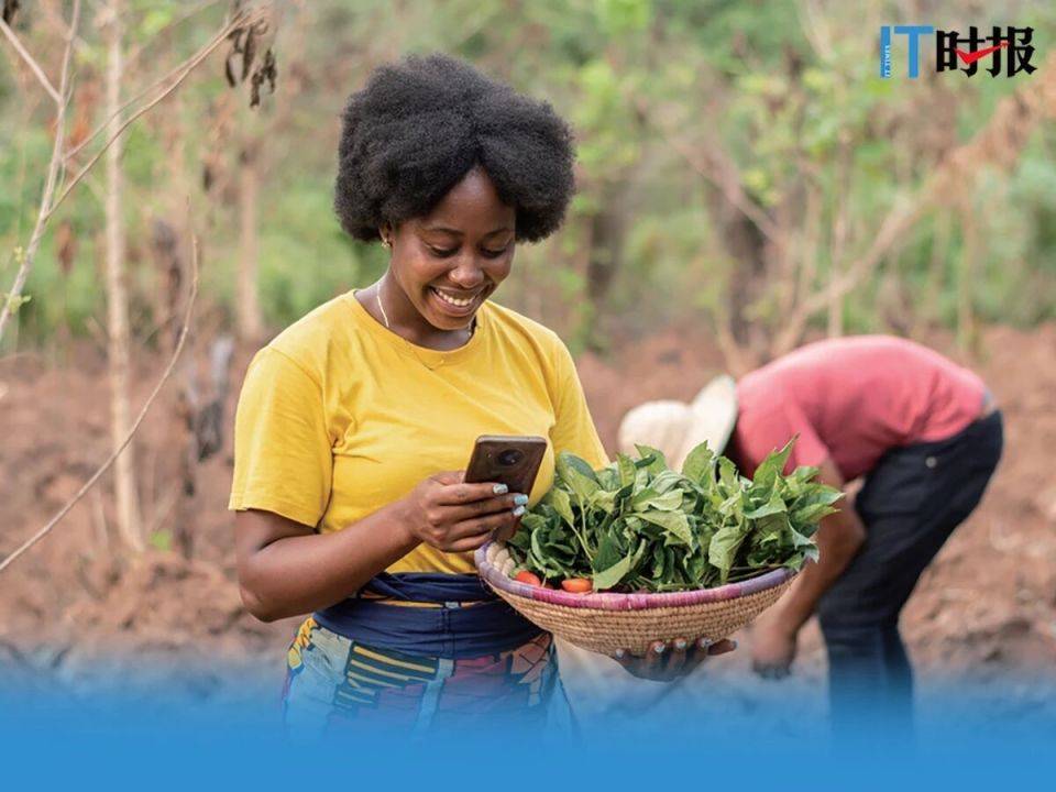 全球仍有31亿人用不起智能手机上网!